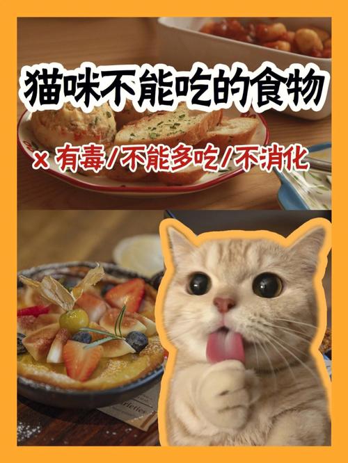 猫不能吃的东西(猫咪绝对不能吃的6种致命品)