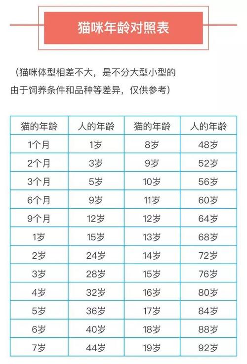 猫可以活多少年(猫咪的寿命能达到多少年)
