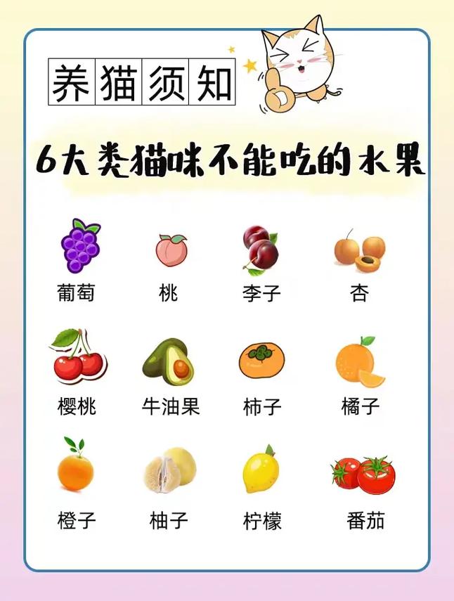 猫咪能吃水果吗,哪些水果能让猫咪大快朵颐