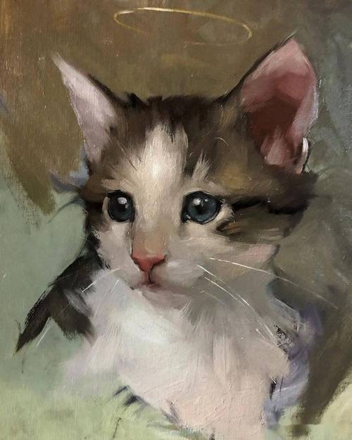 猫喜欢什么颜色(揭秘它们对颜色的独特体验)