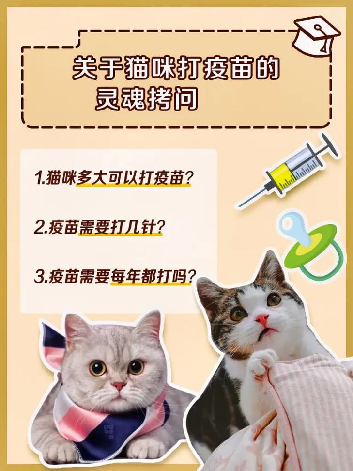 猫疫苗多久打一次(如何判断猫咪是否需要补打疫苗)