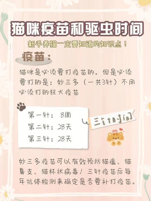 猫疫苗多久打一次(如何判断猫咪是否需要补打疫苗)