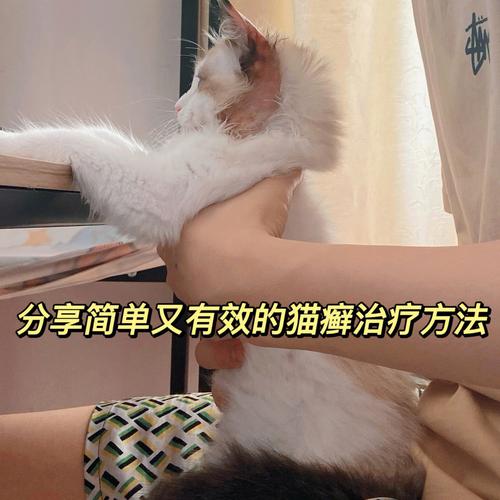 猫癣一直治不好(治疗猫癣的口服利器)