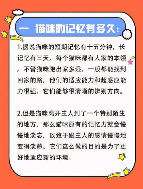 猫的记忆(短期记忆 vs 长期记忆)