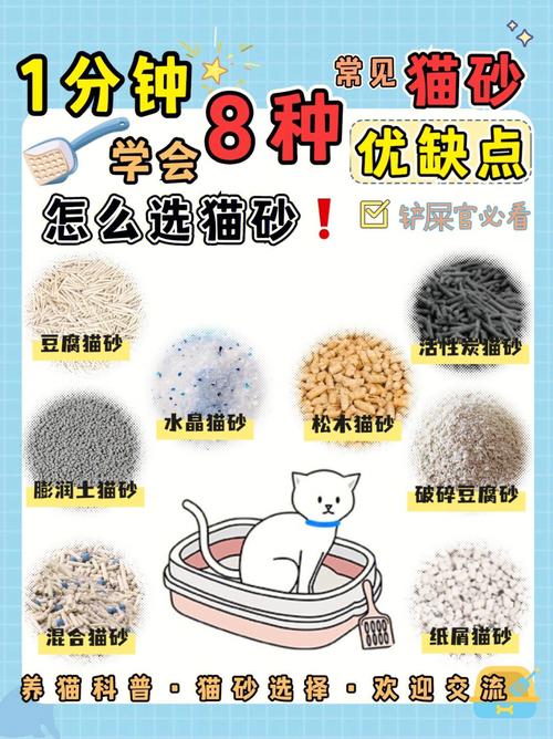 猫砂的优点和缺点(如何根据猫咪需求挑选适合的猫砂)