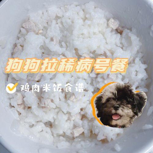米饭对狗狗的好处与坏处(白米饭是狗狗的健康选择吗)