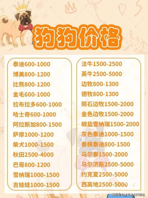 纯种金毛犬多少钱(揭秘金毛幼犬不同价格的秘密)