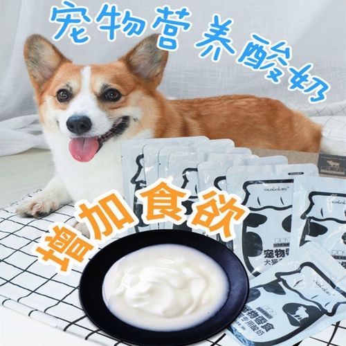 给狗狗喂酸奶前先少量尝试(酸奶中的益生菌有助于提高狗狗免疫力)