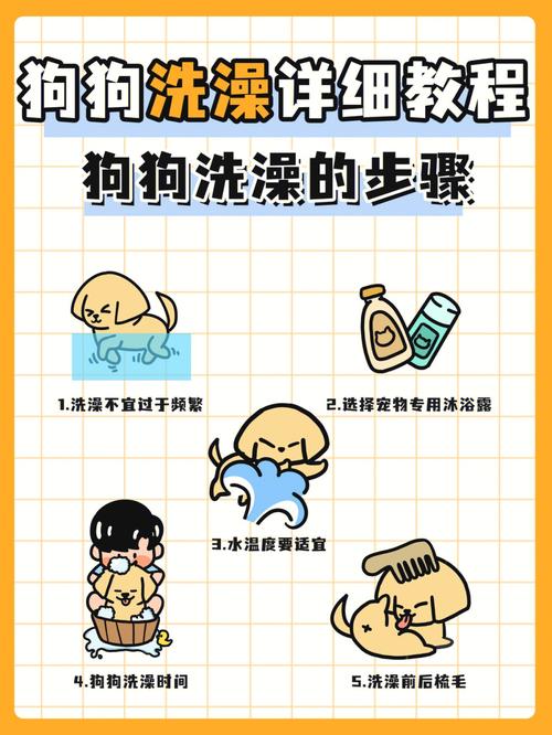 给狗狗洗澡的正确步骤,狗狗洗澡过程中的趣味瞬间