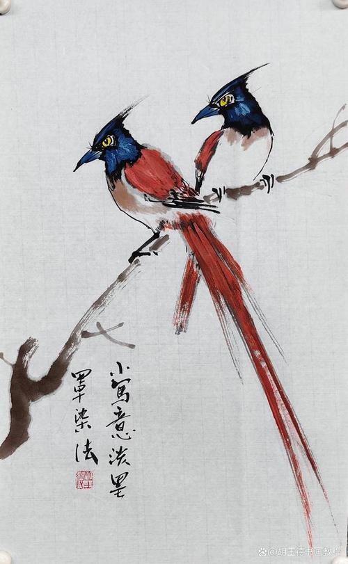 绶带鸟的羽毛画卷,绶带鸟的美丽与优雅