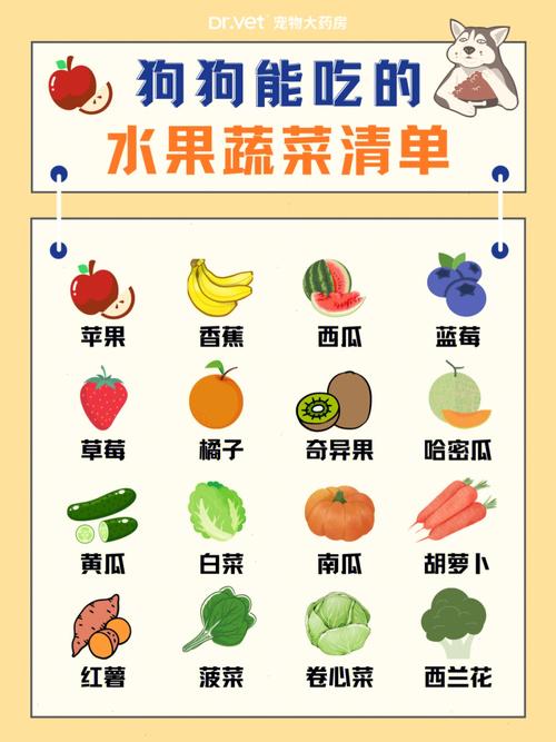 缓解狗狗肠胃不适的蔬菜良方(促进狗狗骨骼发育的蔬菜清单)