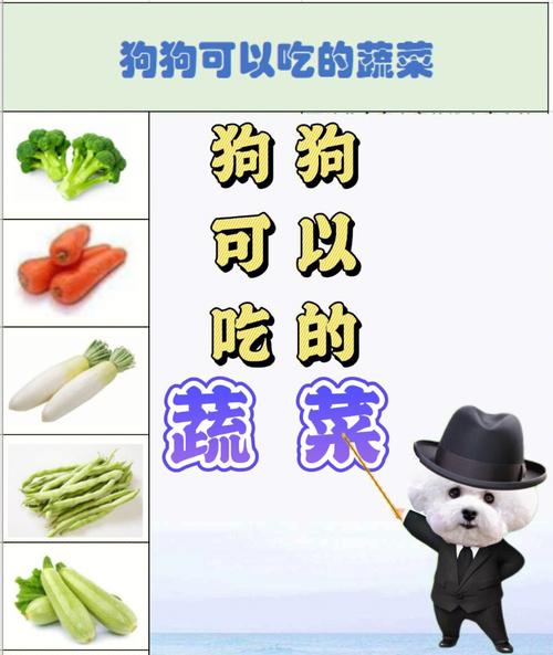 缓解狗狗肠胃不适的蔬菜良方(促进狗狗骨骼发育的蔬菜清单)