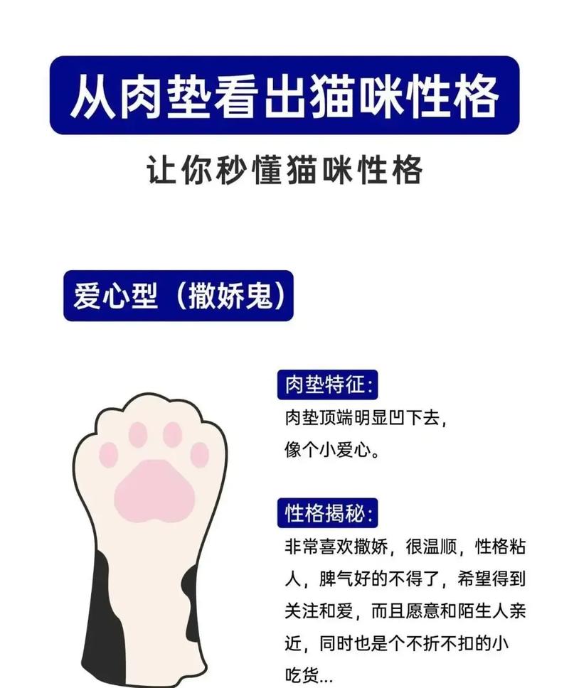肉垫(猫肉垫形状透露性格)