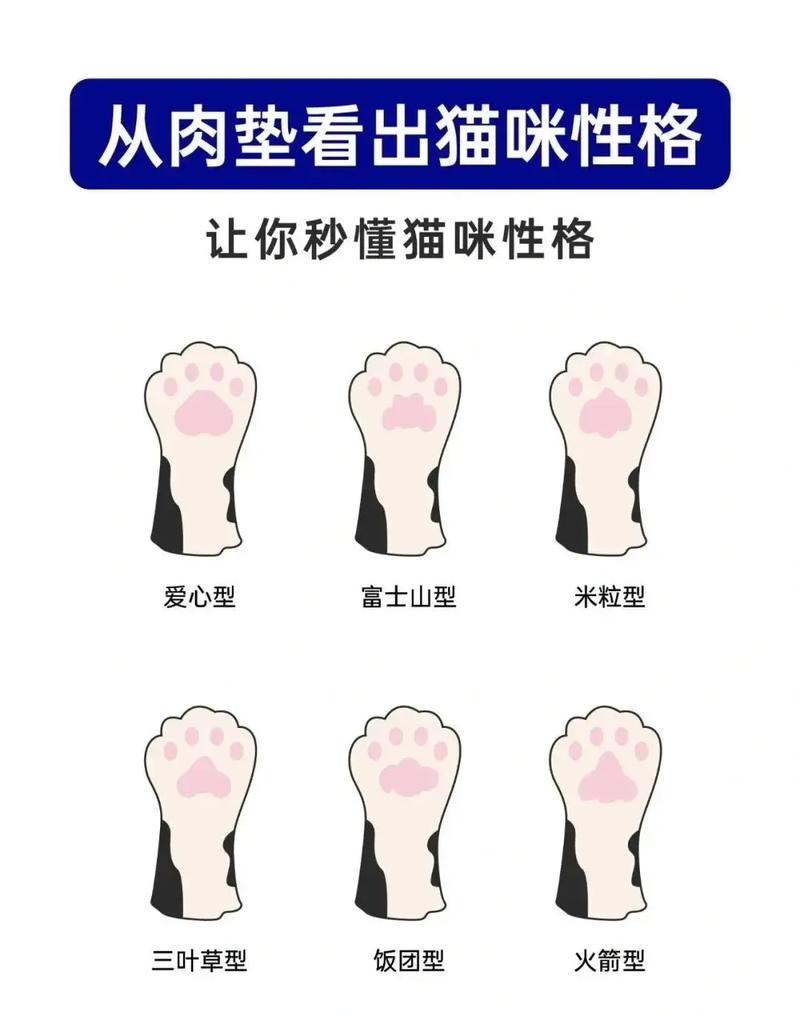 肉垫(猫肉垫形状透露性格)