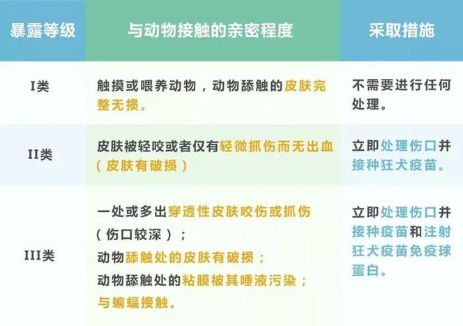 被兔子抓伤后接种狂犬疫苗的必要性(了解兔子感染狂犬病毒的风险和应对措施)