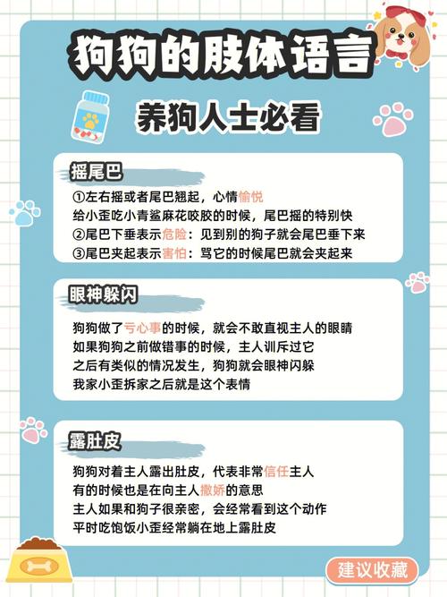 训练狗狗用叫声表达语言(解密狗狗叫声背后的丰富内容)