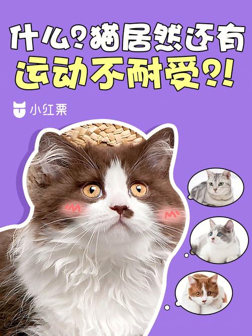 试试猫咪无法忍受的香水味(冬季驱逐猫棒薄荷味道的非凡功效)