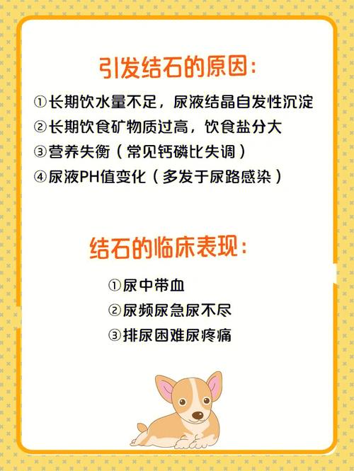 饮食不当导致狗狗尿频尿急(饮水增多造成的狗狗尿频问题)