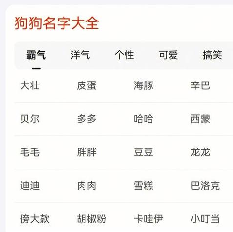 100个好听的牧羊犬名字,揭秘那些蕴含深刻意义的牧羊犬名字