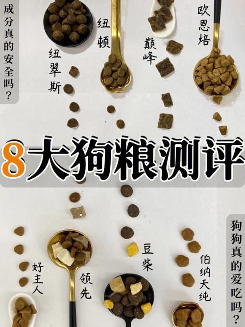 50克宠比利狗粮有多少粒,一颗50克重的鸡蛋相当于多少粒狗粮