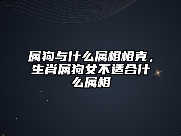 属狗的摩羯座男生,揭秘生肖狗与星座的奇妙联系