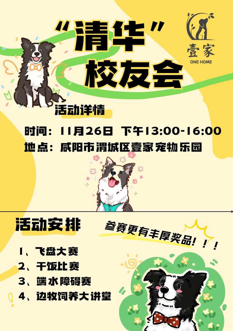 波奇网打造宠物全方位生态圈,波奇网为宠物爱好者打造专属乐园