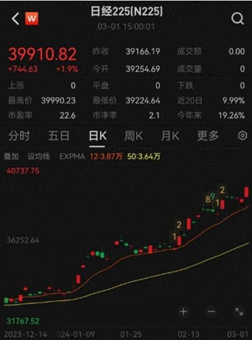 涨势如虹:波奇网强势反弹,创历史新高,价值回归:波奇网受投资者青睐,股价持续走高