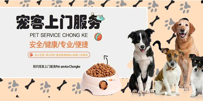 涵盖宠物方方面面,您查找宠物信息的可靠选择
