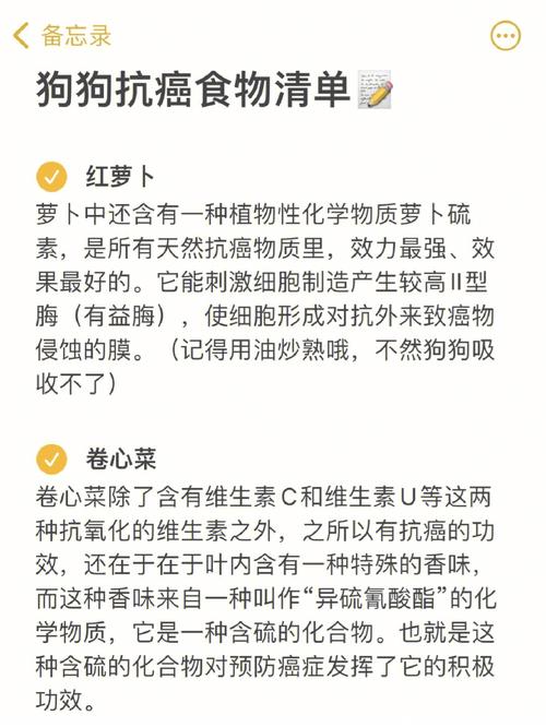 狗狗不能吃的食物清单,狗狗食用瓜子仁的最佳方式