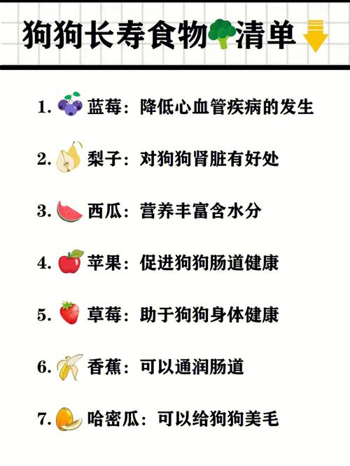 狗狗不能吃的食物清单,狗狗食用瓜子仁的最佳方式