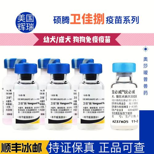 狗狗疫苗价格揭秘,详细分析不同疫苗类型和品牌的价格差异
