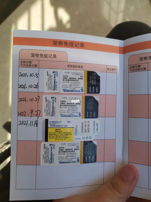 狗狗疫苗多少钱,国产进口价格及疫苗种类分析