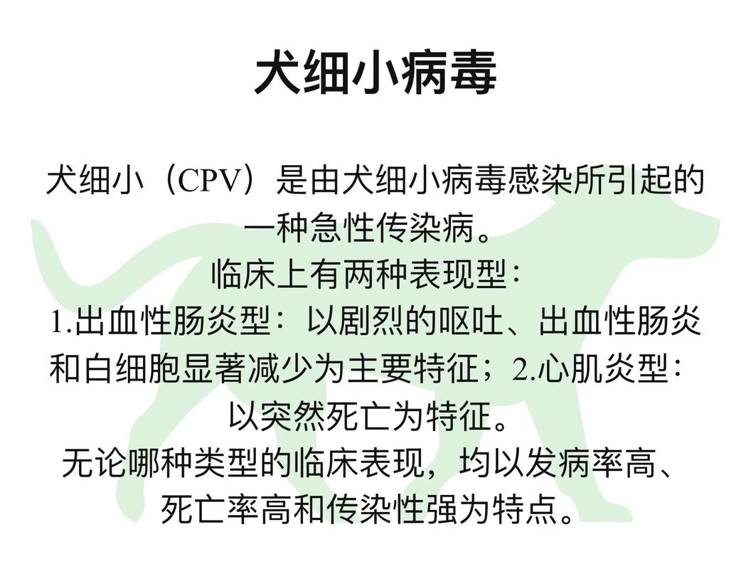 狗狗细小病毒病的传染途径与特点,细小病毒对狗狗的严重影响及救治策略