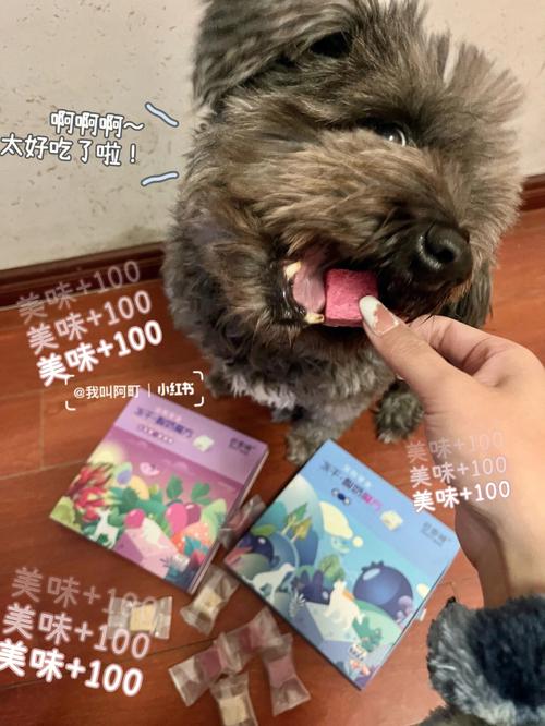 狗狗能不能吃鱼籽,解读鱼籽对狗狗的潜在危害和预防措施