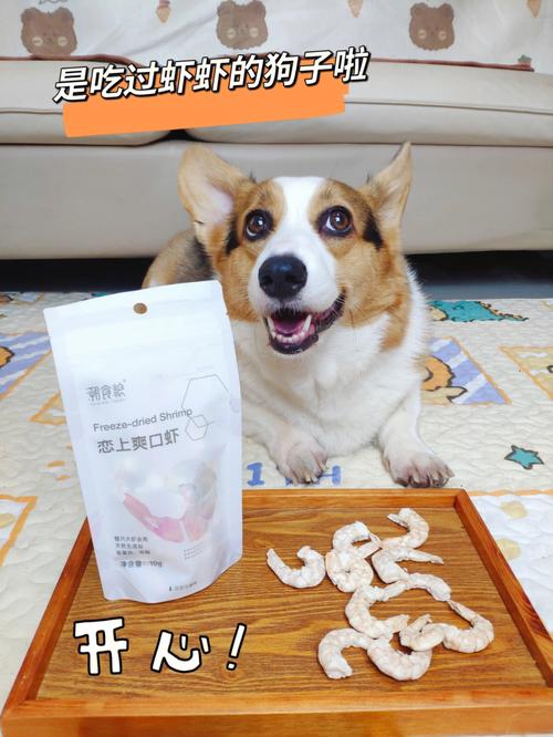 狗狗能吃大虾吗,了解虾对狗狗的营养价值和注意事项