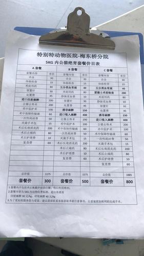 猫咪绝育手术花费大揭秘,猫咪绝育手术不同城市价格大对比