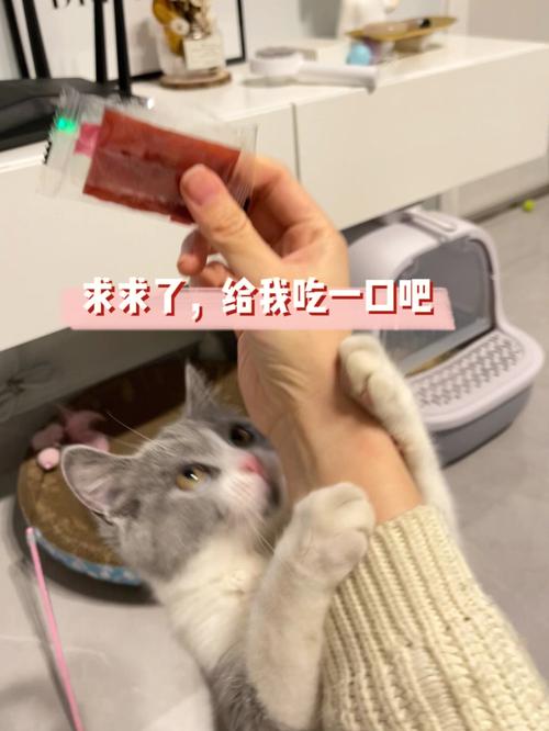 猫咪能吃猪肉脯吗,猫咪偶尔吃猪肉脯可以吗