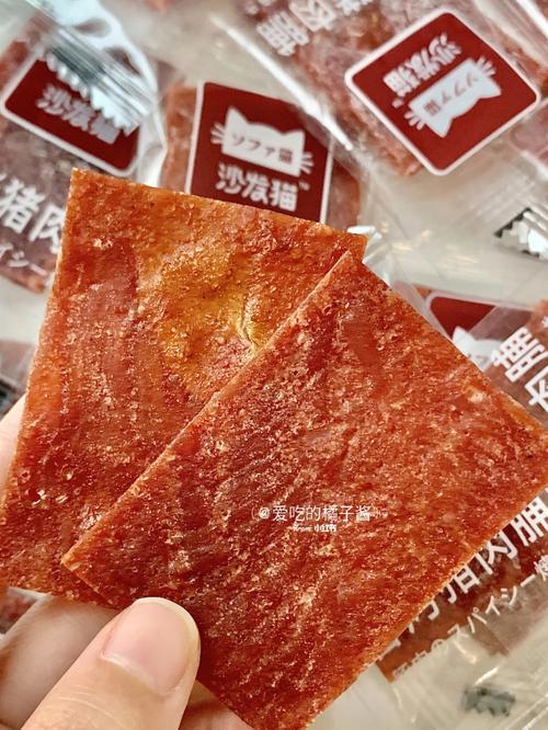 猫咪能吃猪肉脯吗,猫咪偶尔吃猪肉脯可以吗