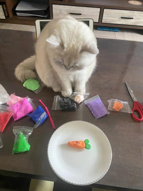 猫咪能否食用胡萝卜,猫咪食用胡萝卜需注意的事项