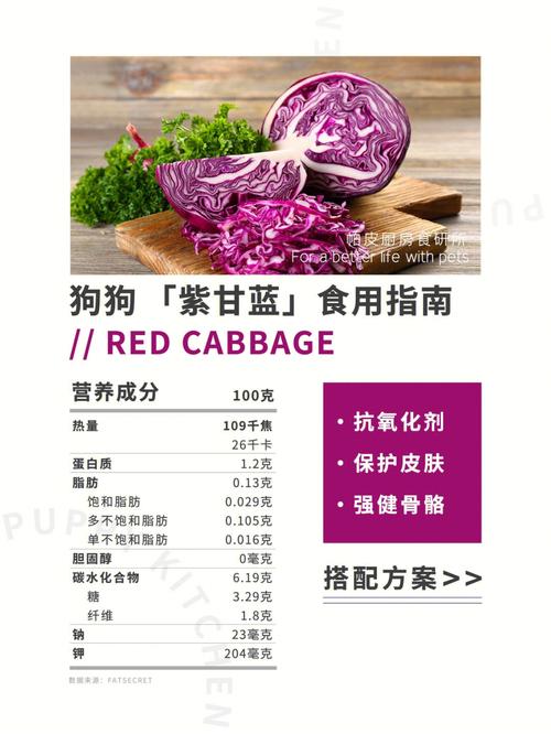 紫菜助力狗狗骨骼强健,解密紫菜对狗狗的营养价值和食用建议