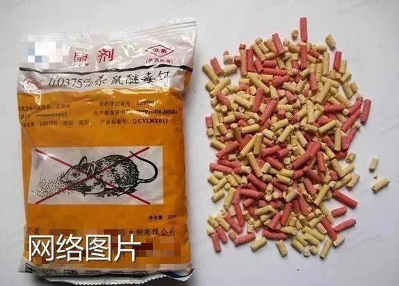 老鼠药的可怕真相,非法买卖老鼠药的严重后果