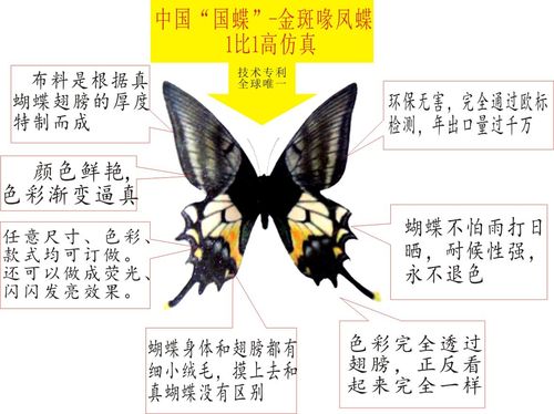 蝴蝶的伪装技巧,蝴蝶在文化中的象征意义
