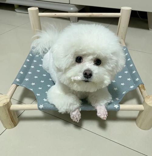 贵宾脚,贵宾脚的优缺点分析