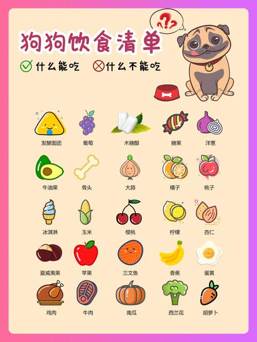 适合断奶期幼犬的狗粮推荐,断奶后的饮食指南和注意事项