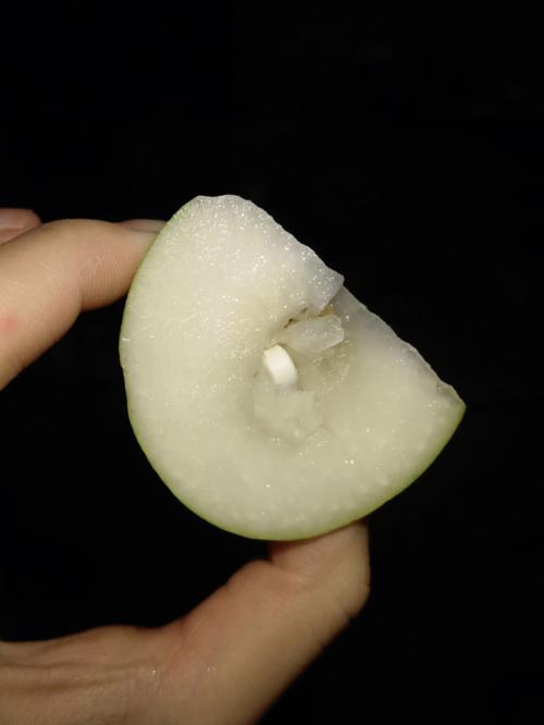 青枣对狗狗的益处与风险,解读青枣对幼犬的健康影响