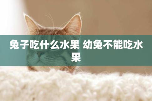 兔子不能吃什么食物和水果(兔子不能吃什么水果)