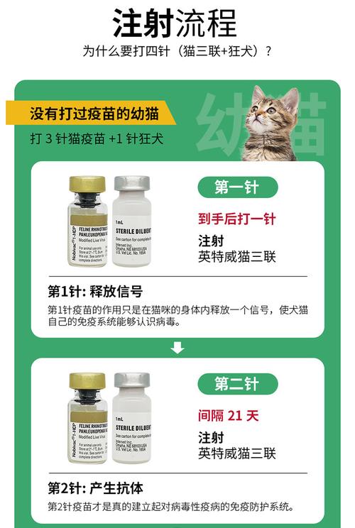 宠物注射疫苗多少钱(宠物打疫苗多少钱一针猫)