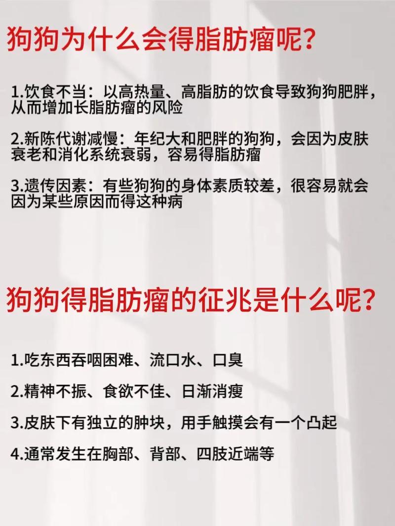狗狗肿瘤对照表 区分(狗狗常见的8种肿瘤图片)