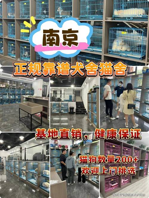 商场能带宠物狗进去吗(商场可以带宠物吗南京)