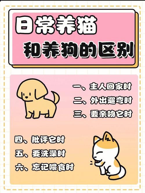 土猫和宠物猫的区别(养猫前先想好6件事)